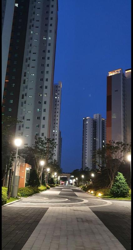컨텐츠파일