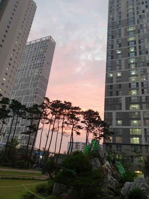 아리동동