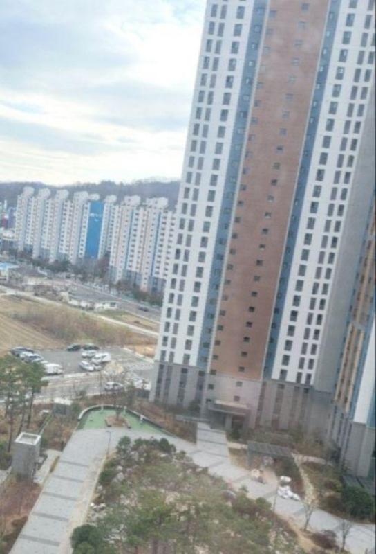 컨텐츠파일