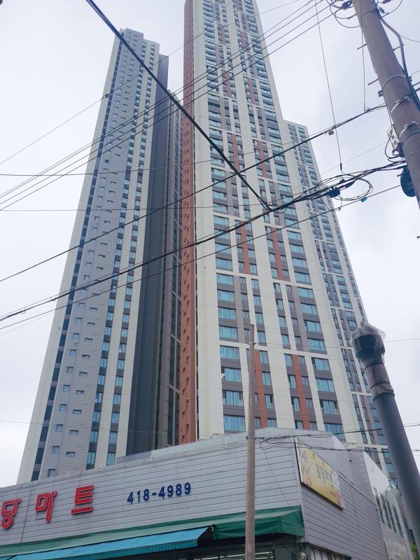 컨텐츠파일