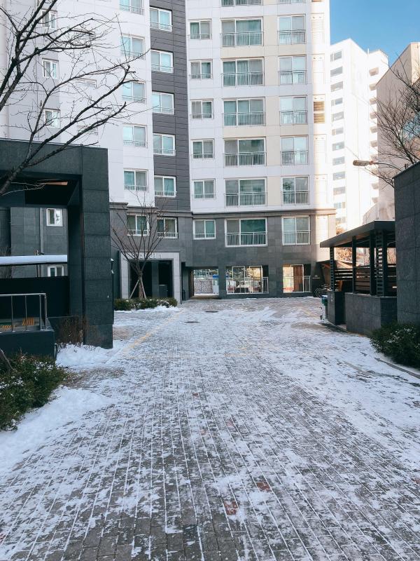 컨텐츠파일
