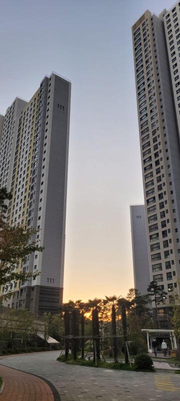 유니