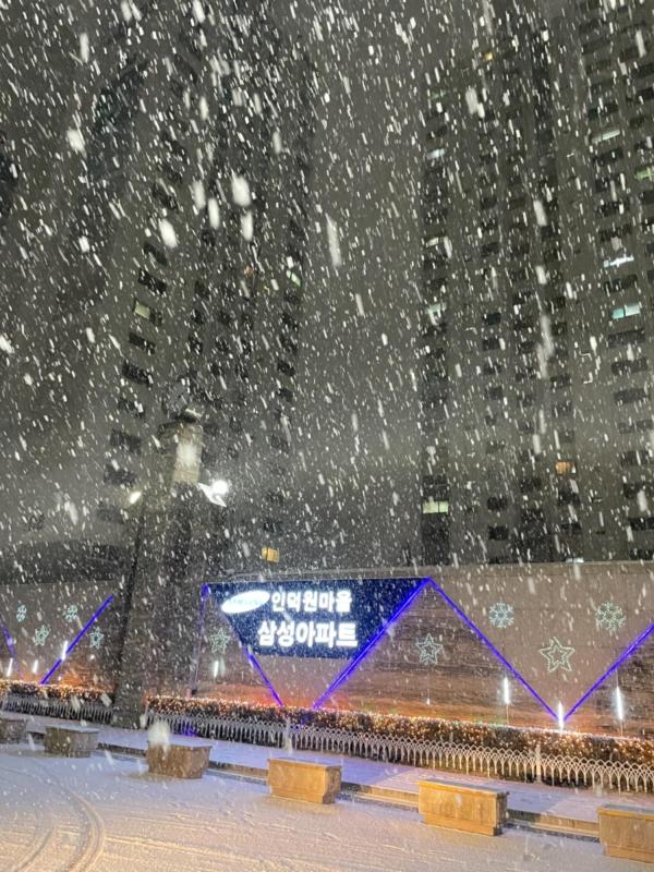 인덕원다람쥐