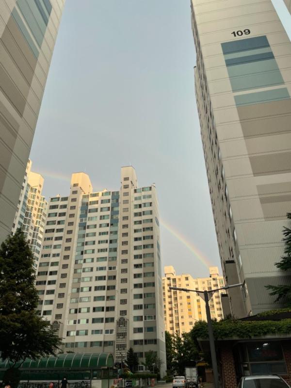 인덕원다람쥐