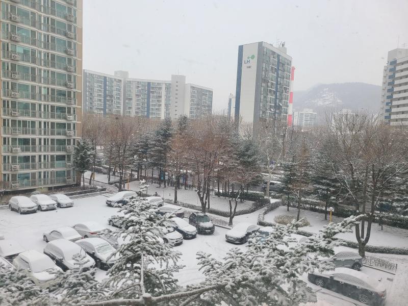 컨텐츠파일