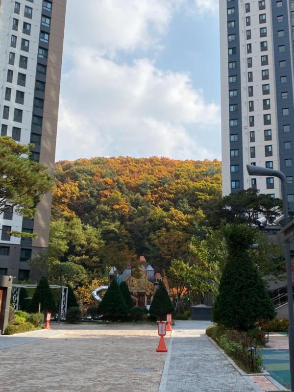 해은맘