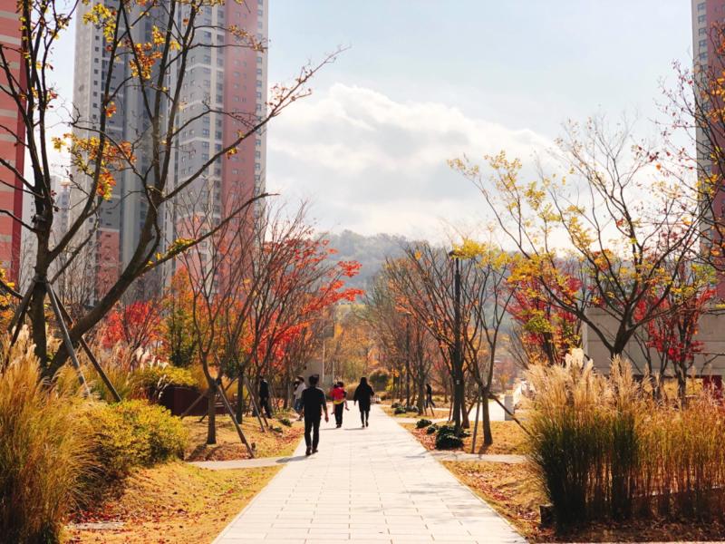 컨텐츠파일