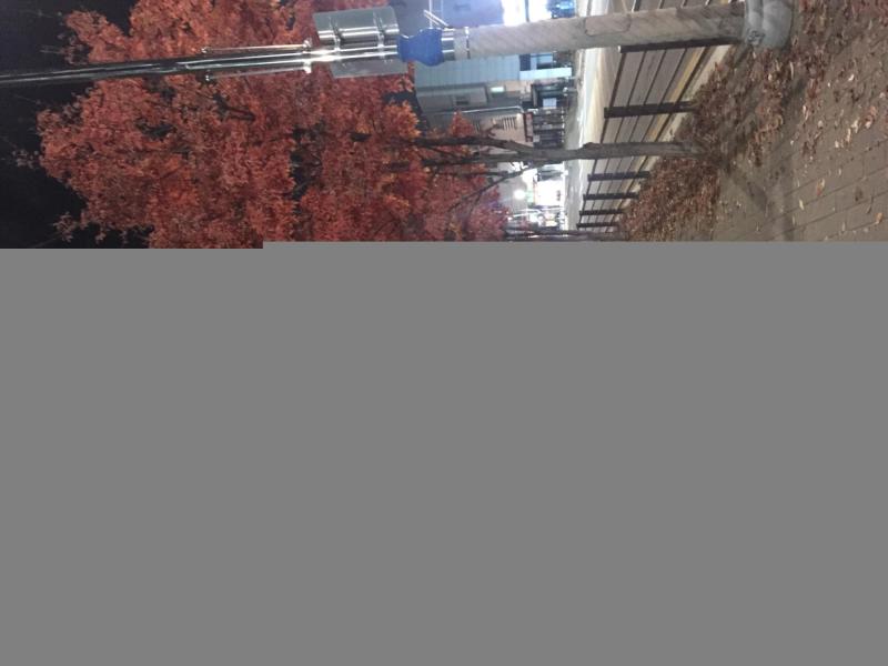 컨텐츠파일
