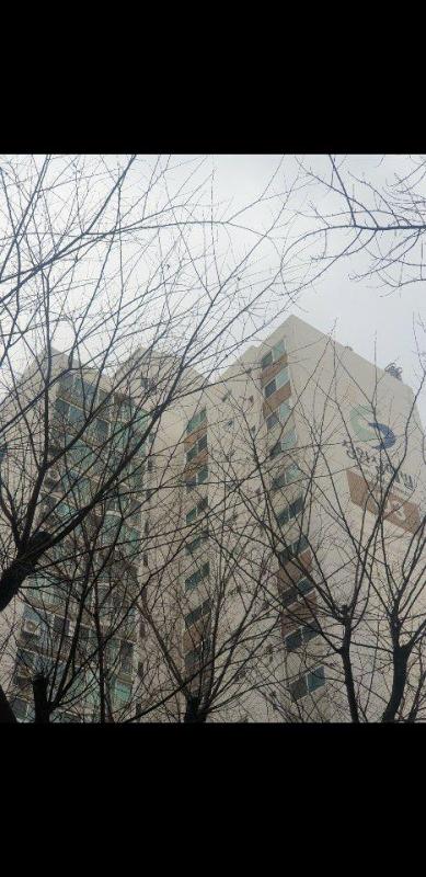 컨텐츠파일