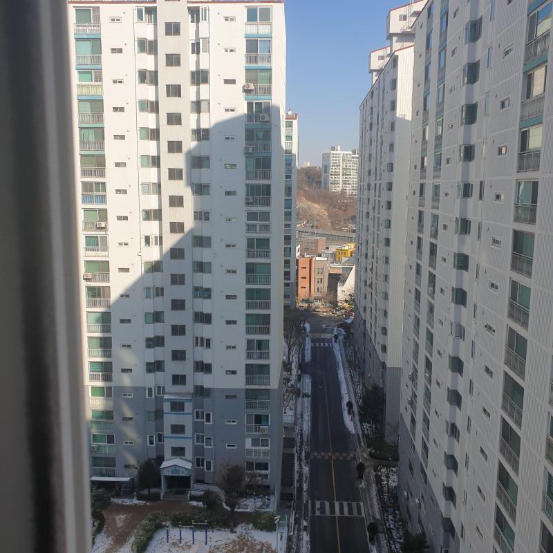 피콜로