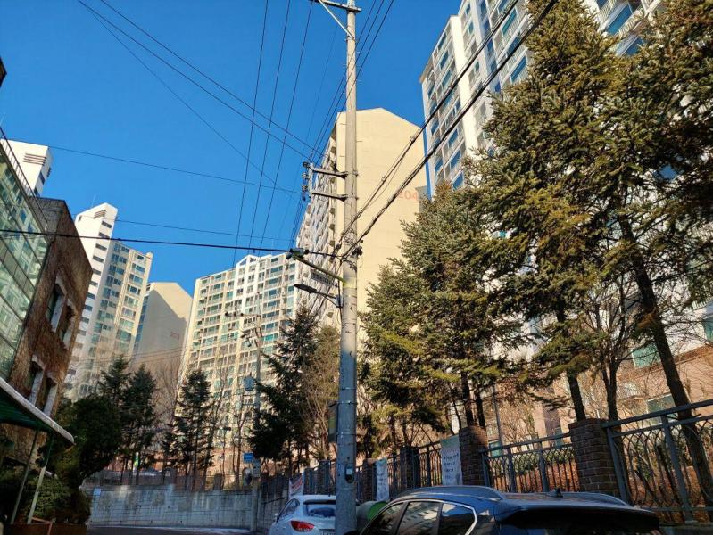 컨텐츠파일