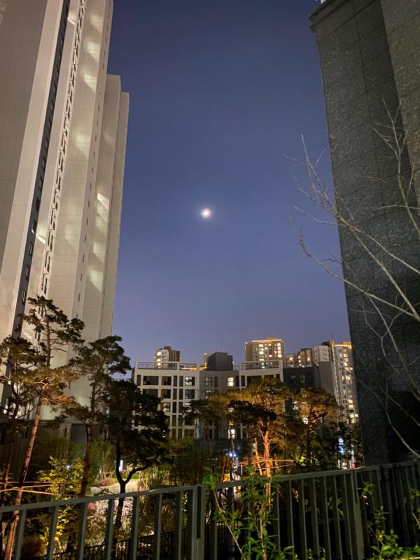 내집은오디