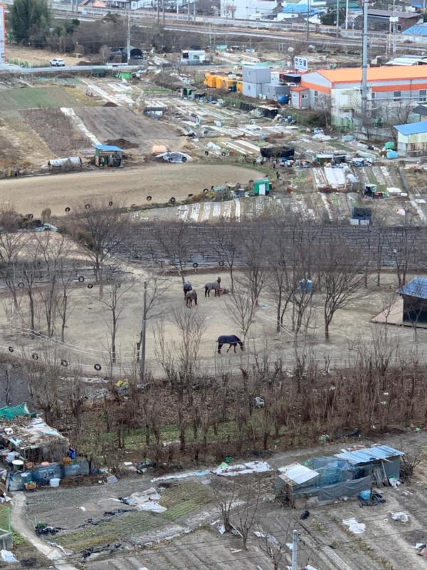 컨텐츠파일