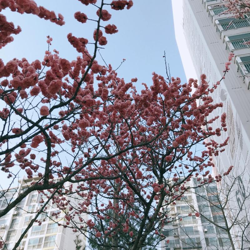컨텐츠파일