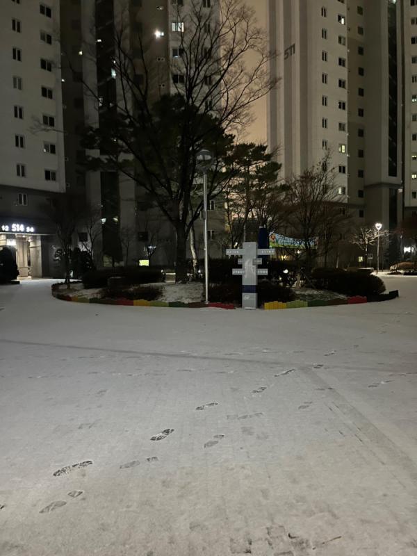 컨텐츠파일