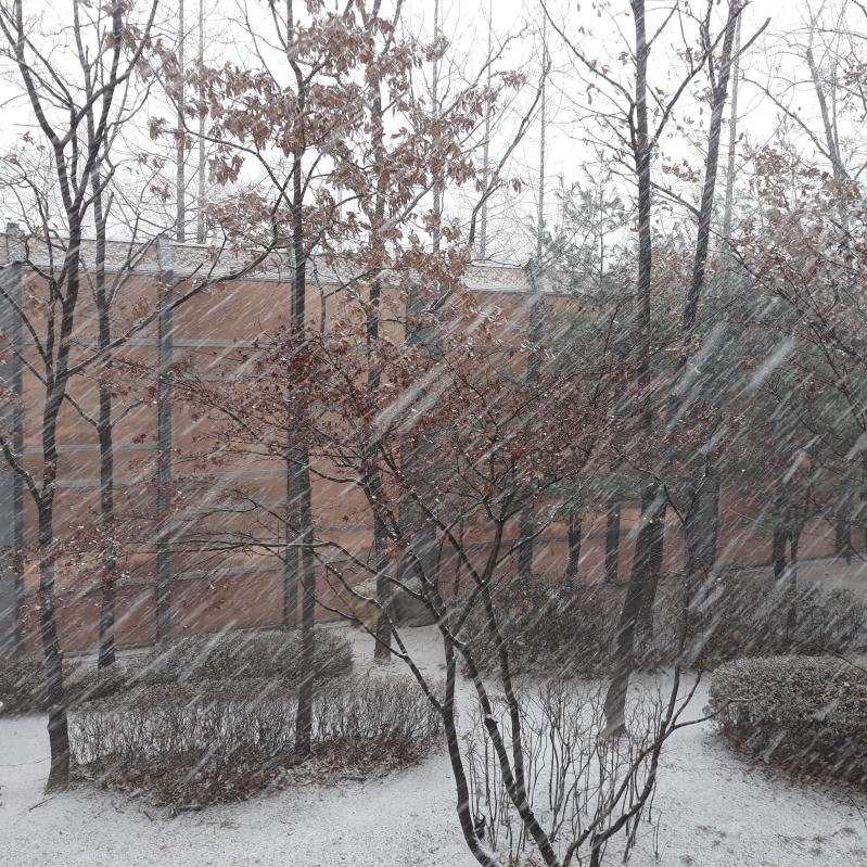 장남
