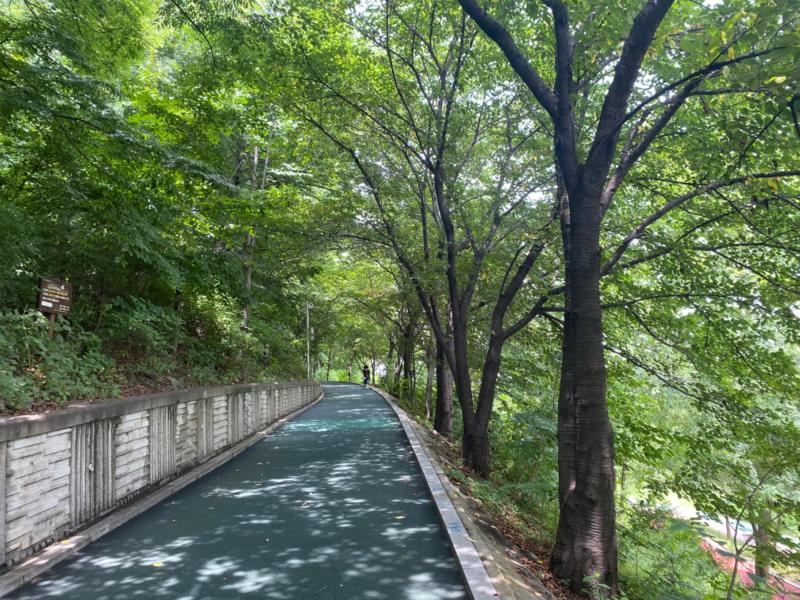 컨텐츠파일
