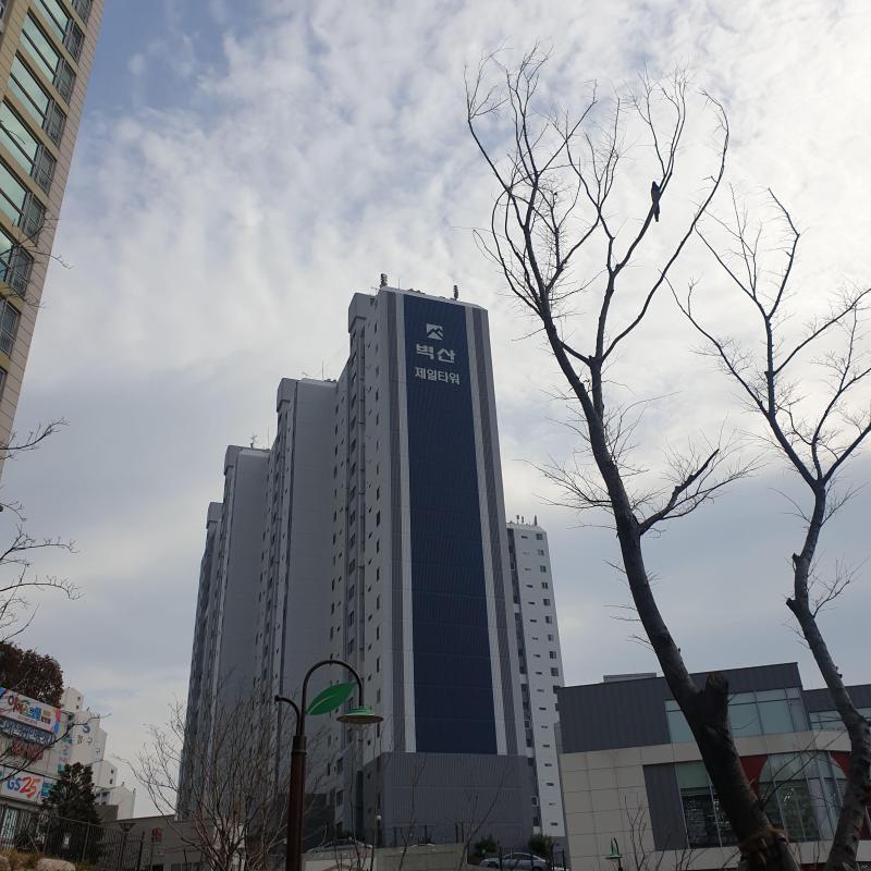 컨텐츠파일