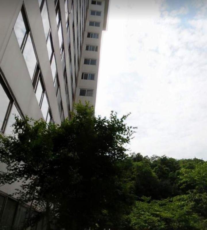 컨텐츠파일