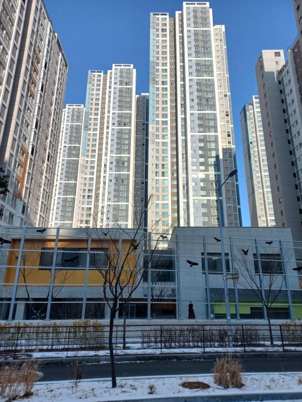 컨텐츠파일