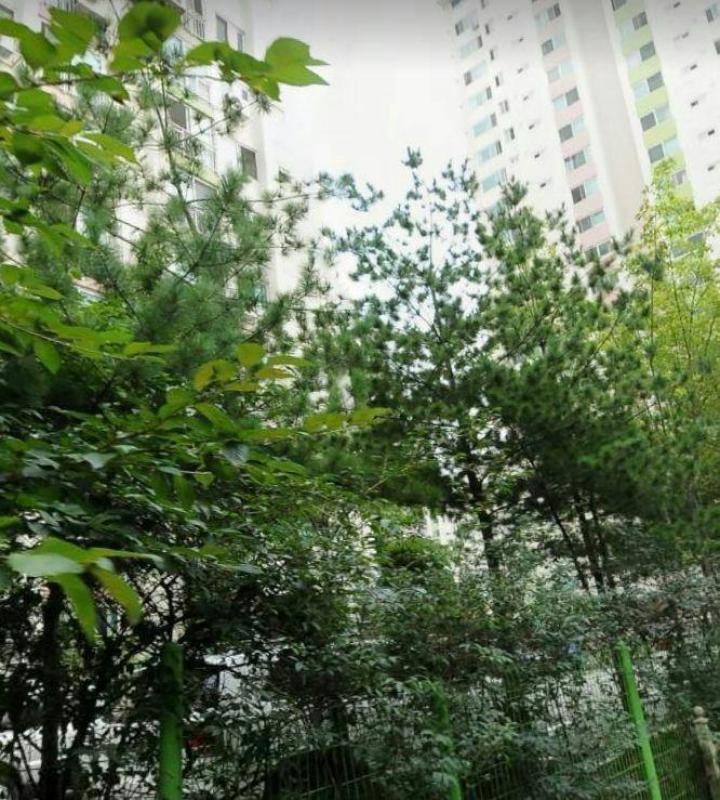 컨텐츠파일