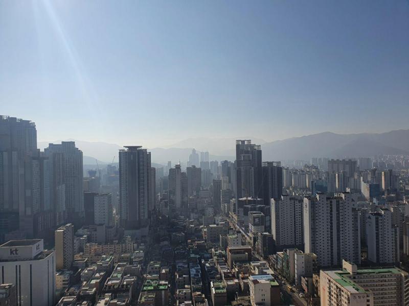 컨텐츠파일