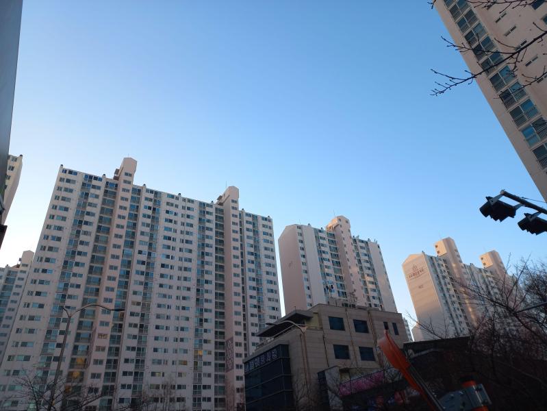 컨텐츠파일