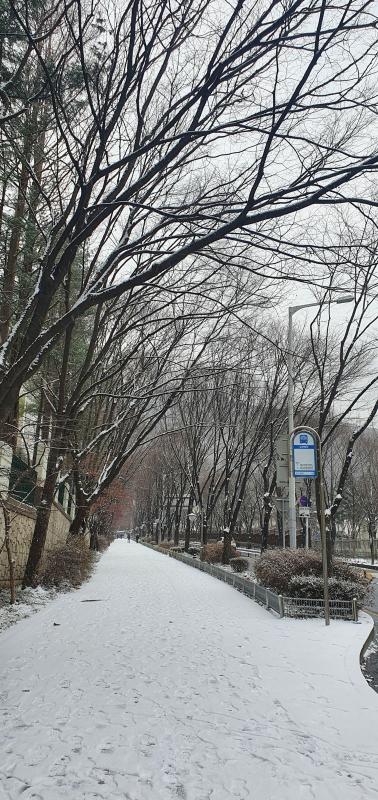 컨텐츠파일