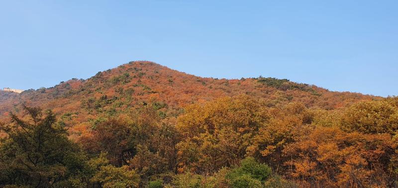 컨텐츠파일
