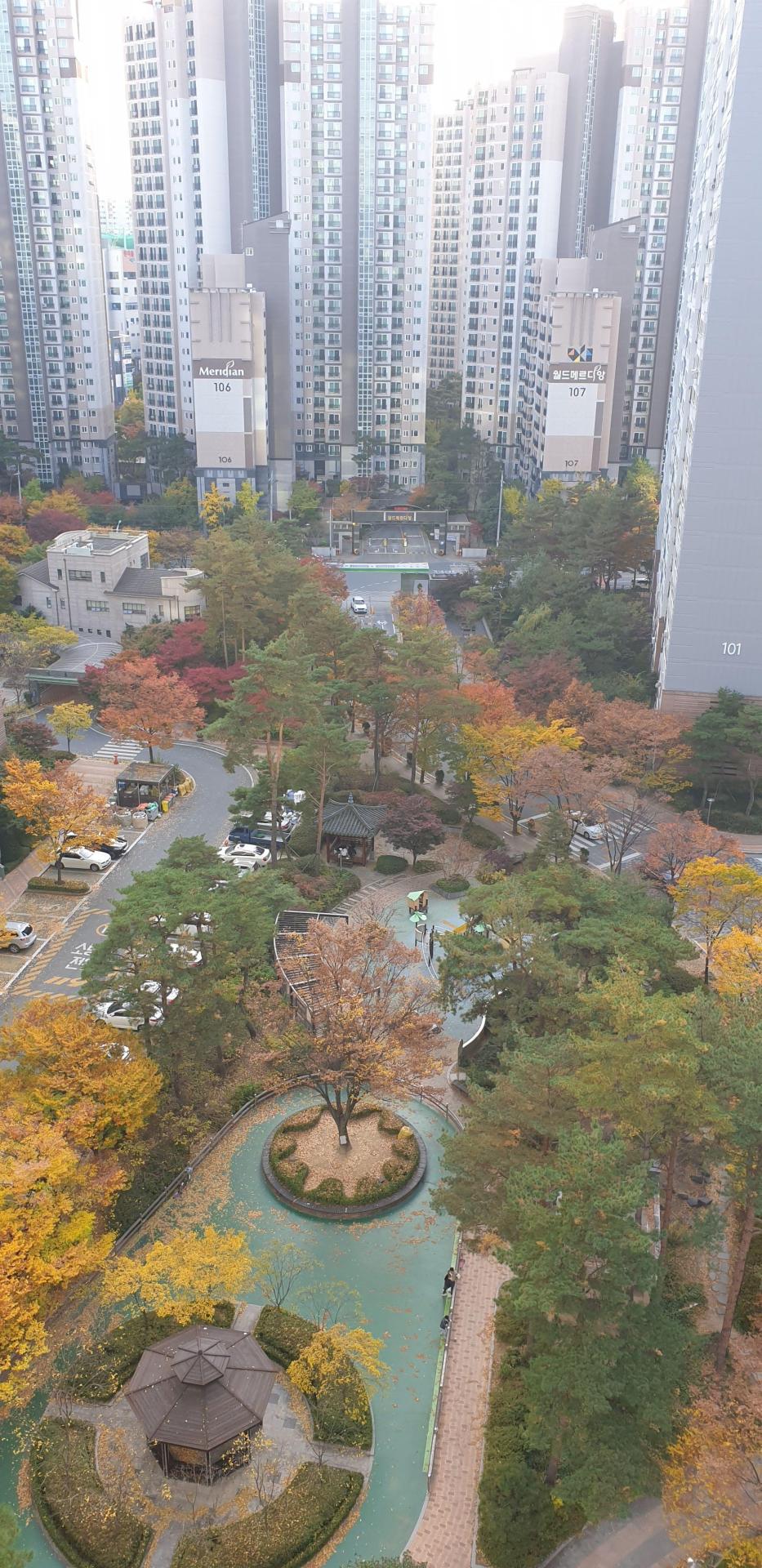 월성동 월성푸르지오 시세, 가격, 매매, 전세 | KB시세는 KB부동산 KB부동산