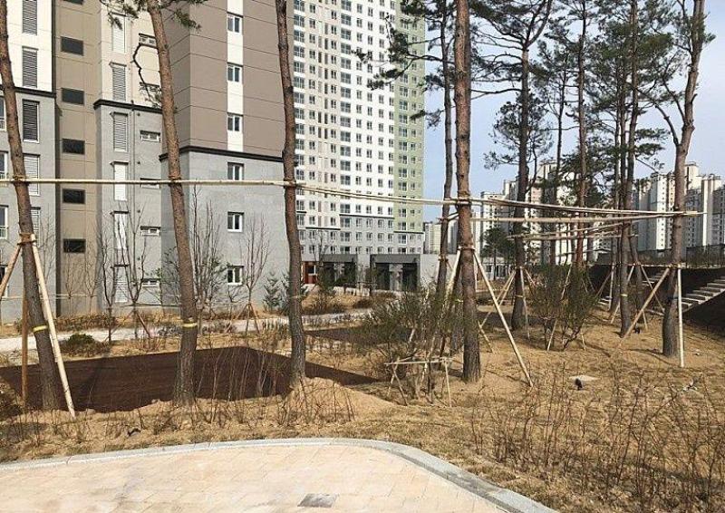 컨텐츠파일
