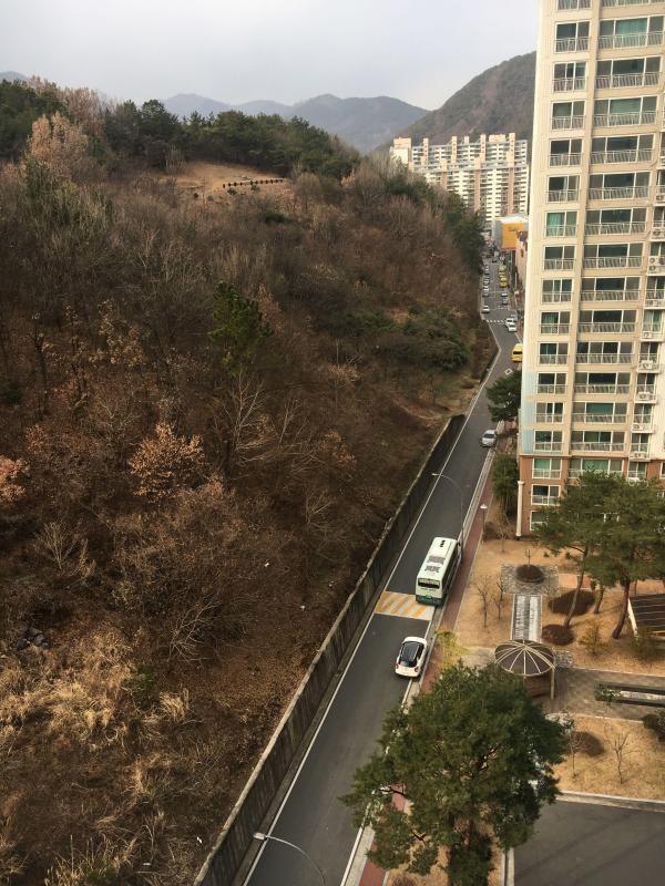 사랑