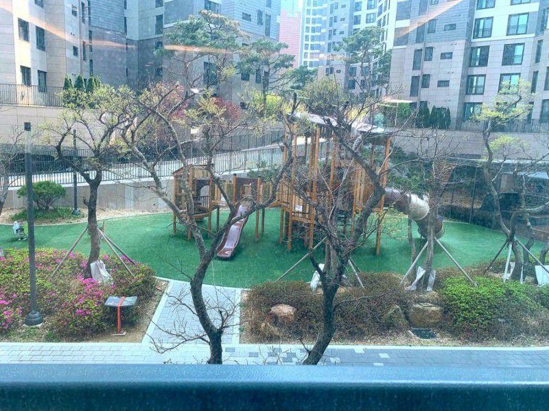 포도