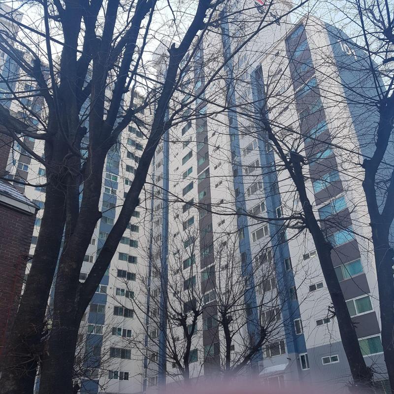컨텐츠파일
