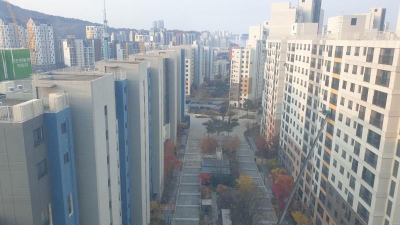 컨텐츠파일