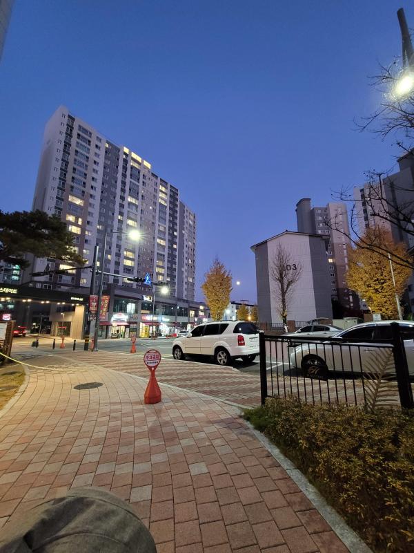 람이