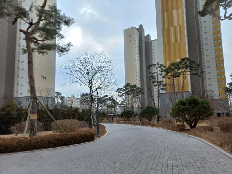 정승구