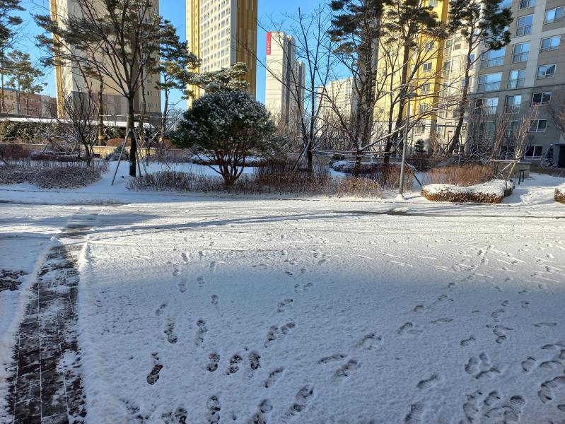 정승구