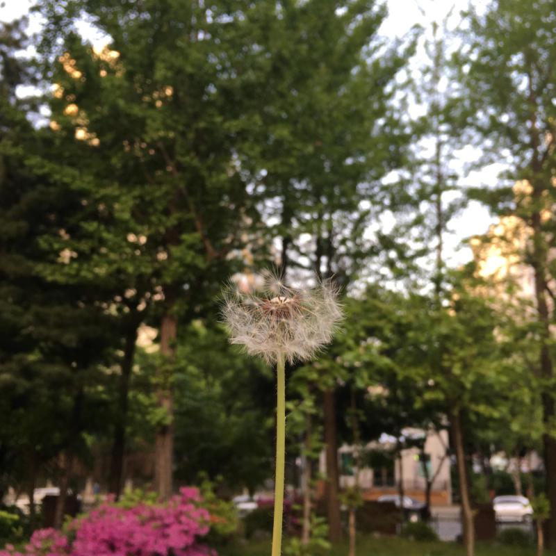 컨텐츠파일