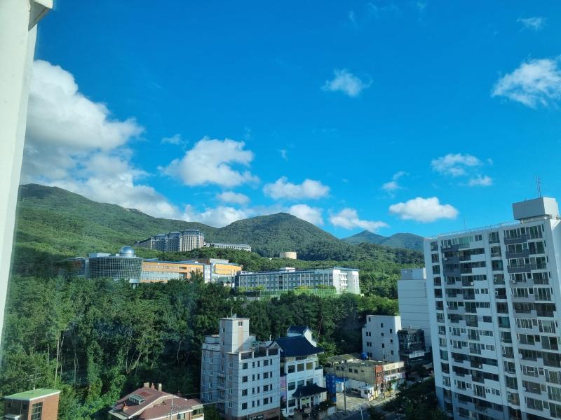 컨텐츠파일