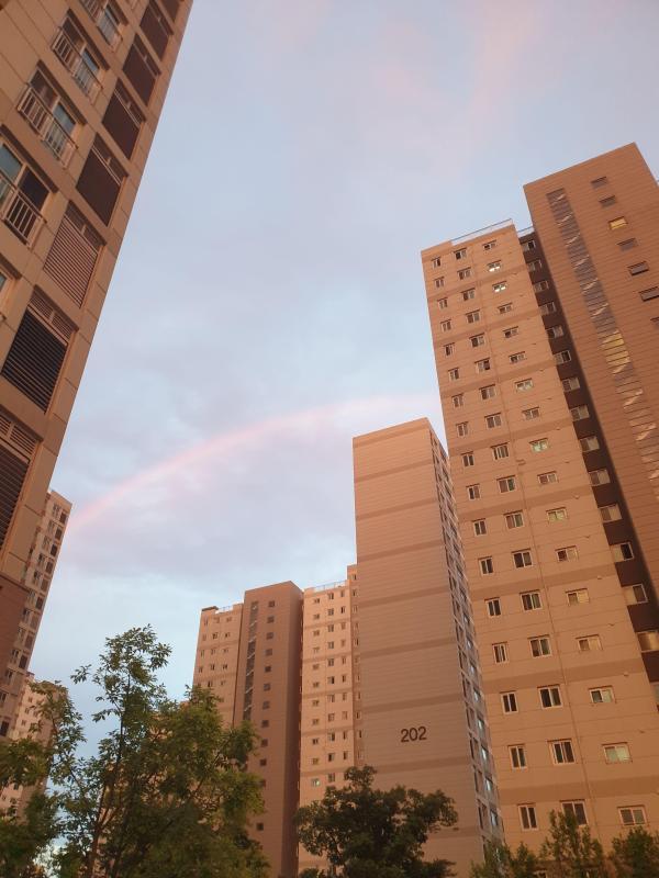 노땡