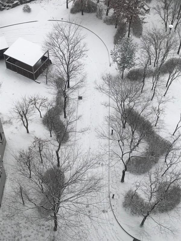 컨텐츠파일
