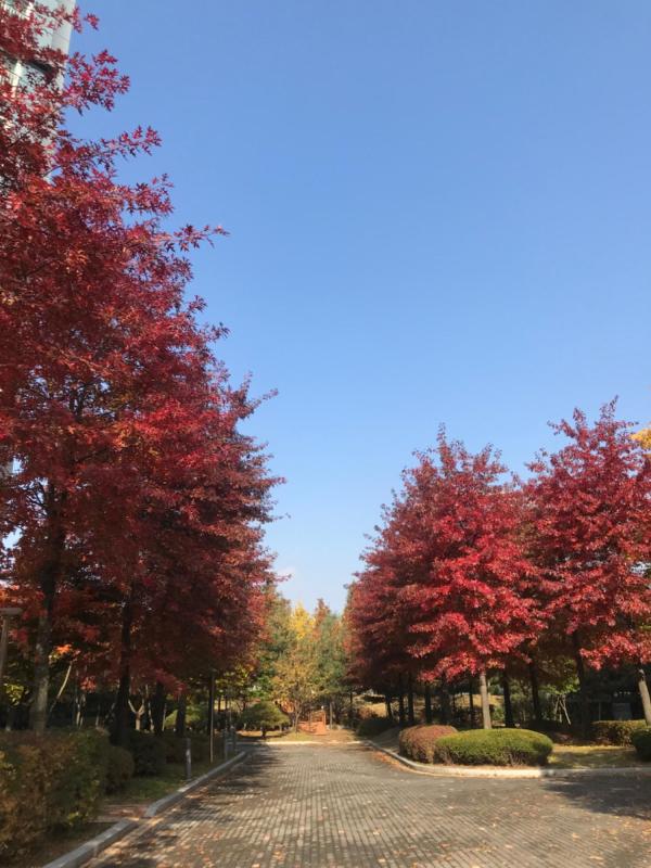 컨텐츠파일