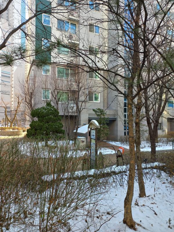 자동