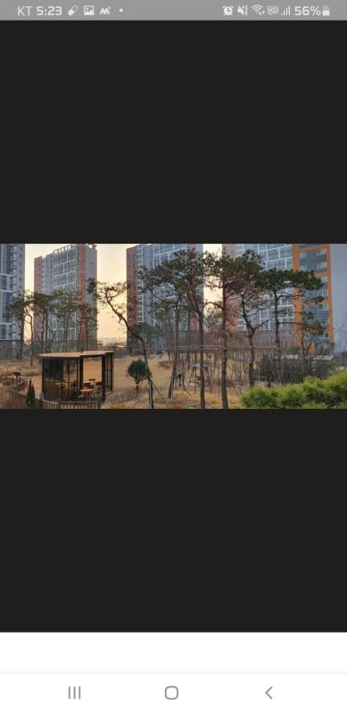 컨텐츠파일