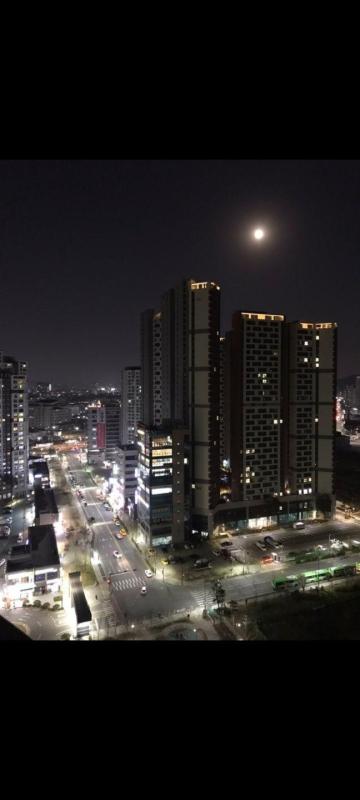 컨텐츠파일