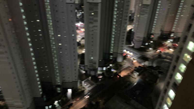 아이비