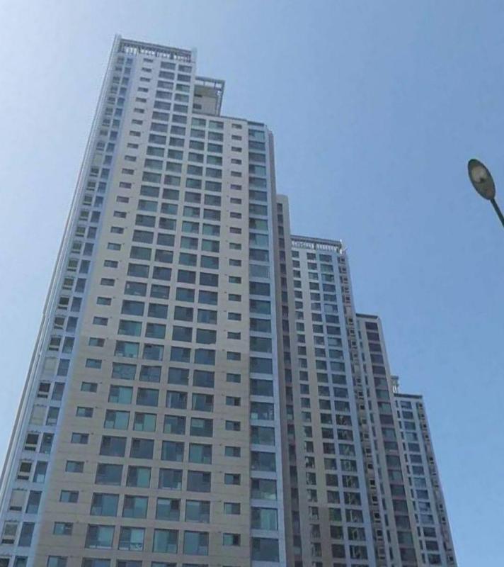 컨텐츠파일