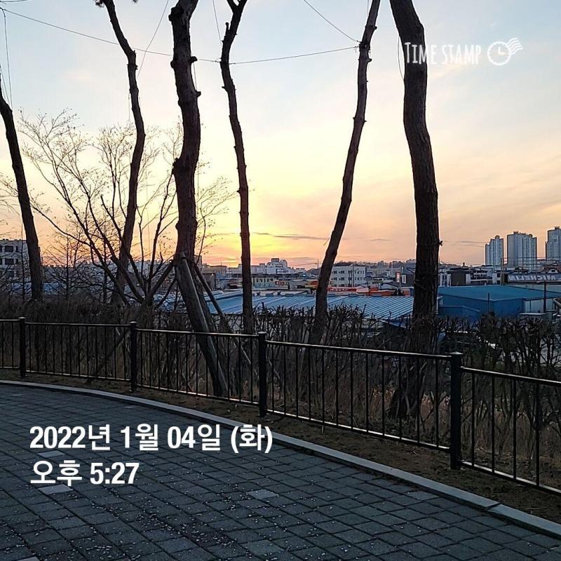 컨텐츠파일