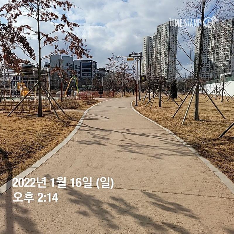 컨텐츠파일